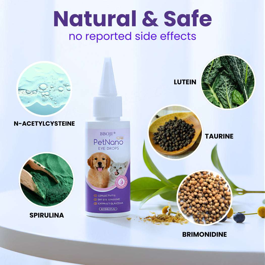 🔥Final 3 hours 70% off | BBOJI® PetNano Eye Drops